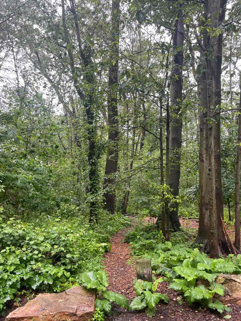 walking near me in Woodland Park in summer