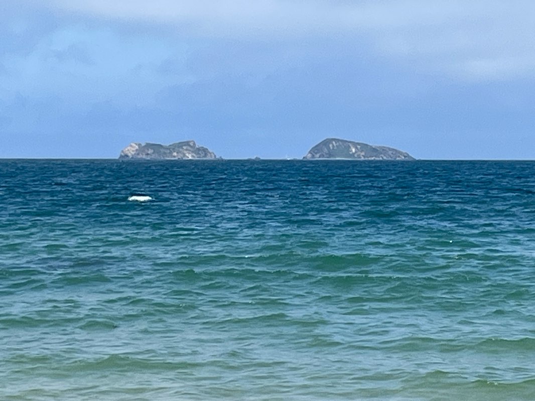 walking near me in Murramarang National Park in summer