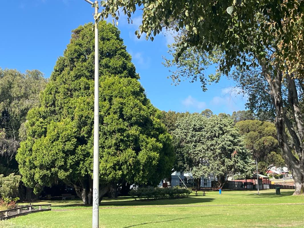 walking near me in Oakleigh Park in autumn