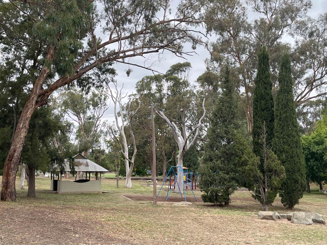 walking near me in Hall Park in summer
