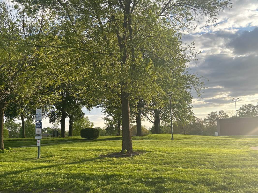 walking near me in Memorial Park in spring
