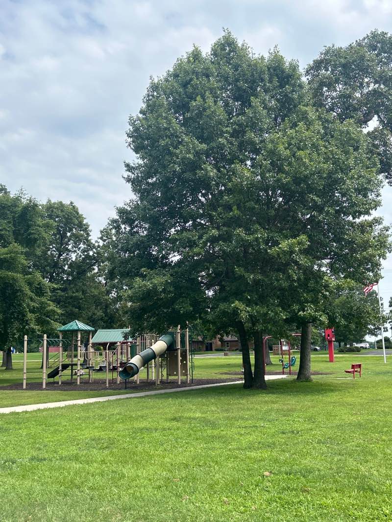 walking near me in Sandy Acres Park in summer