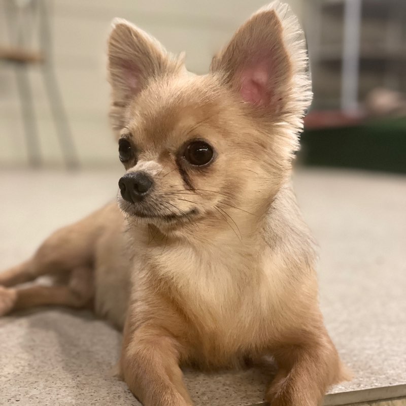 Marvin