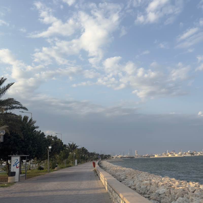 Friday Warriors Sajeda post image