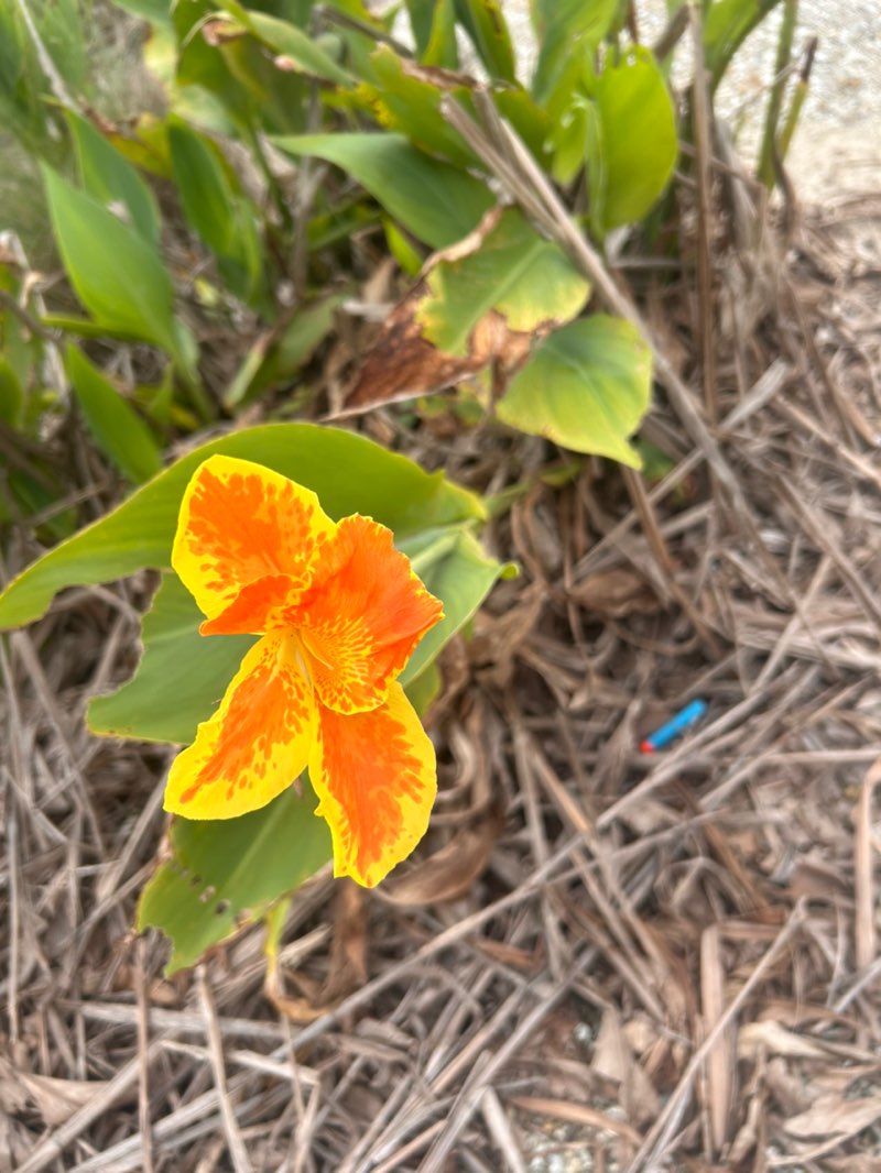 walking near me in Sunset Park in summer