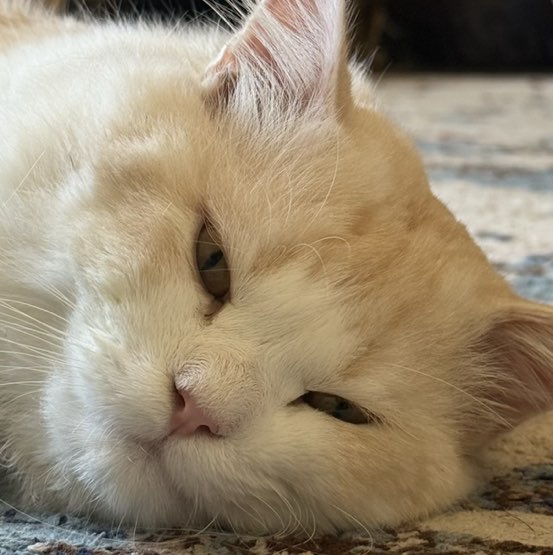 Muna AL Hadabi profile