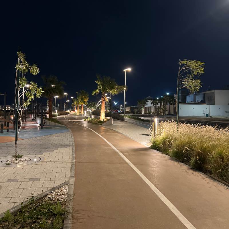 Friday Warriors esraa post image