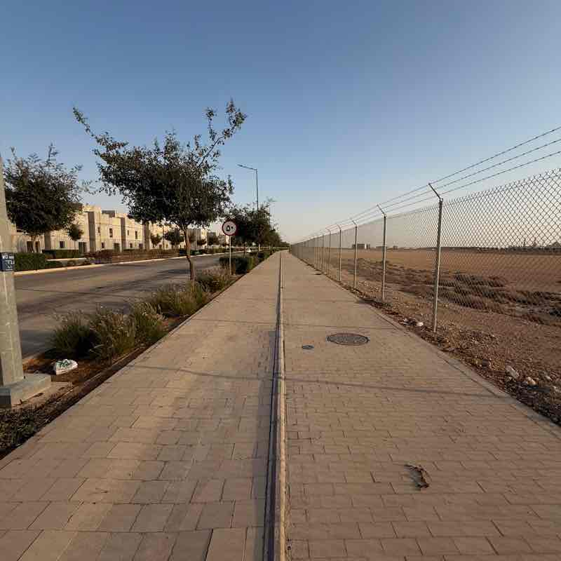 RIPC 🌴 post image