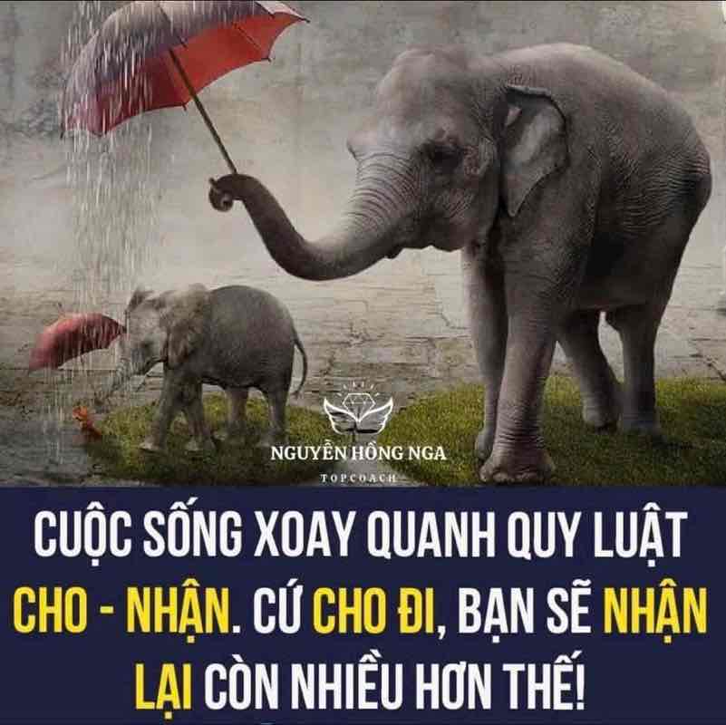 ❤️🌸💎BE A BETTER YOU💎🌸❤️ PHÚ post image