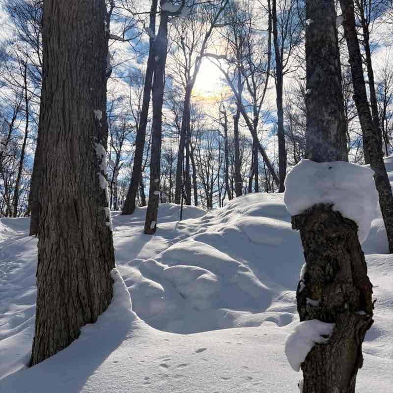 e berg friends and fam Amy post image