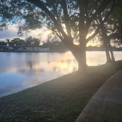 DCF Steps Bigmick92  post image