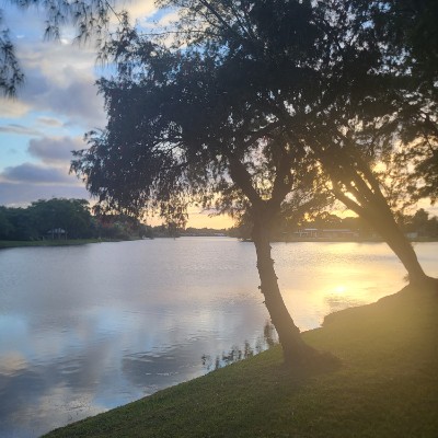 DCF Steps Bigmick92  post image