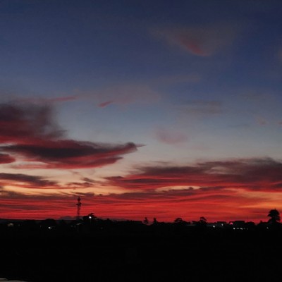 Dizzy Jzaunde Runs post image