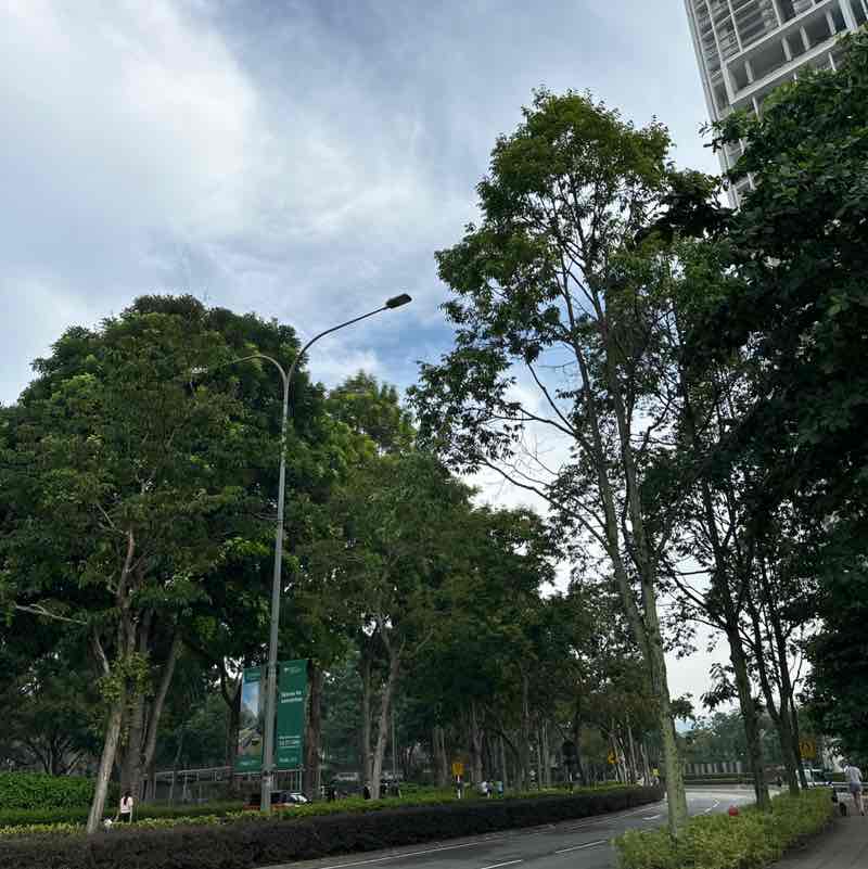 Seh Foo post 1