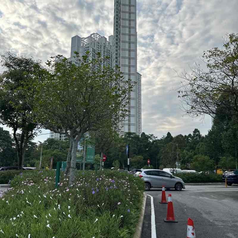 Seh Foo post 2
