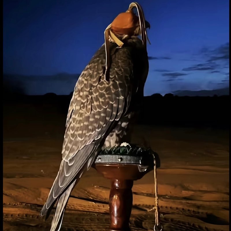 Mazen Alanzi🔥🥈🚀 profile