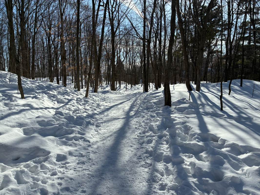 walking near me in Parc de la Chute-Montmorency in winter