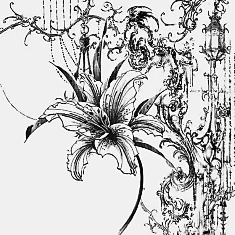 ميار العنزي ١/٣ profile