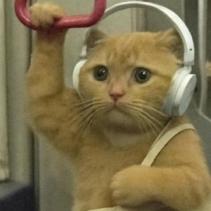 Aaron Delos Reyes profile