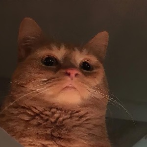 Aaron Delos Reyes profile