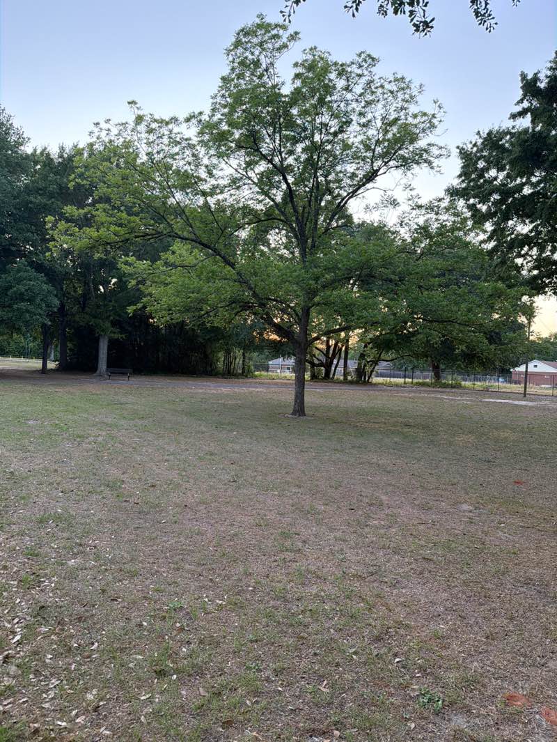 walking near me in Osbon Park in spring