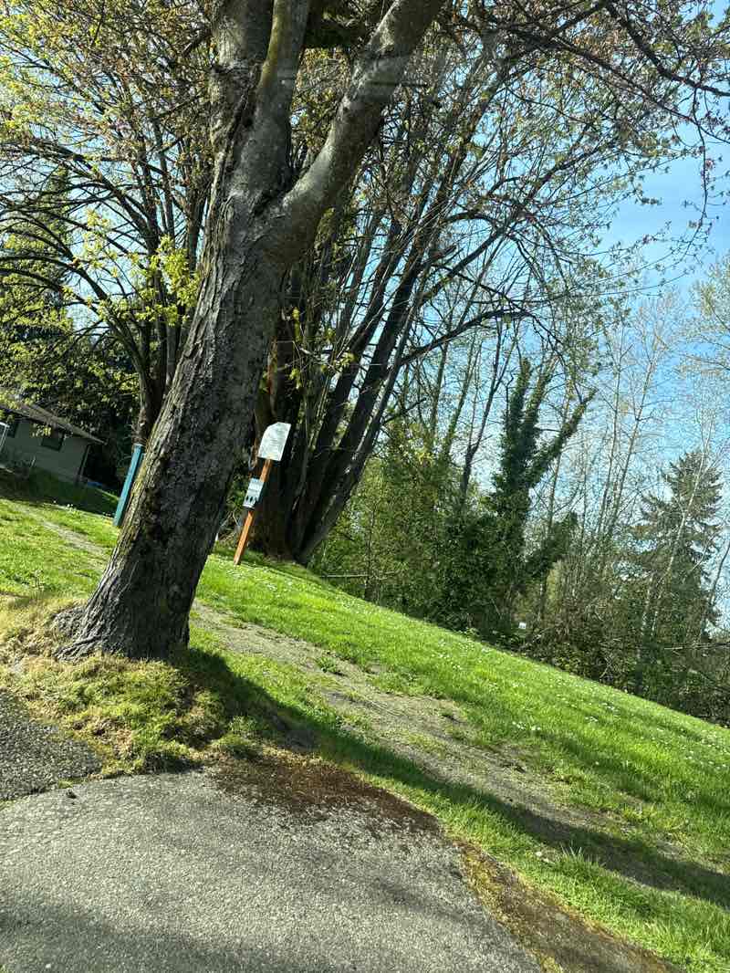 walking near me in Hilltop Park in spring