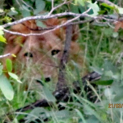 İstanbul 🌺 Nazish Faisal post image