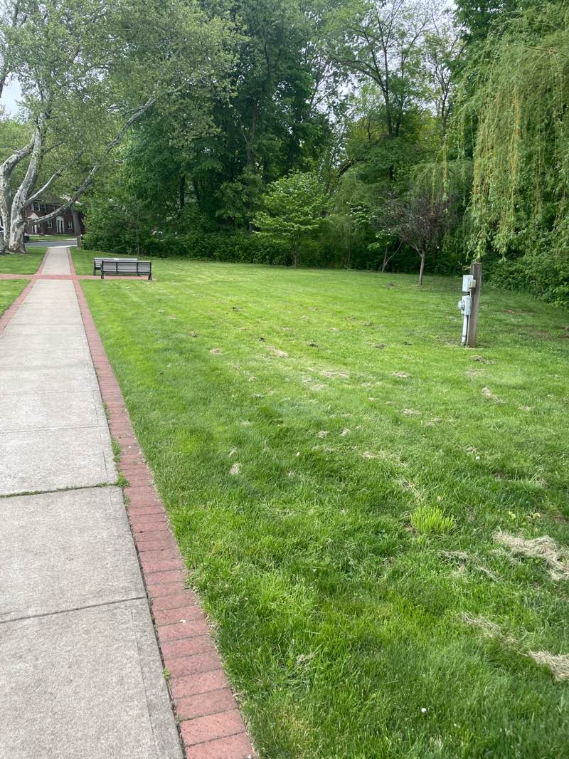 walking near me in Patriot Park in spring