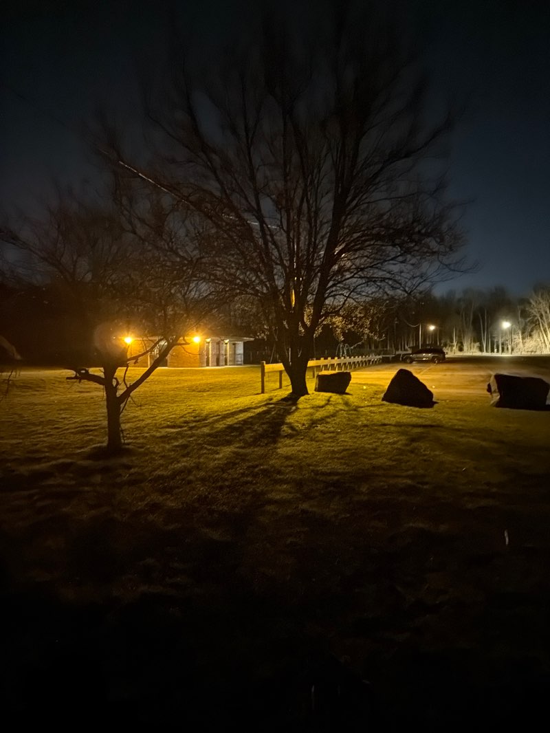 walking near me in Basil Marella Park in spring