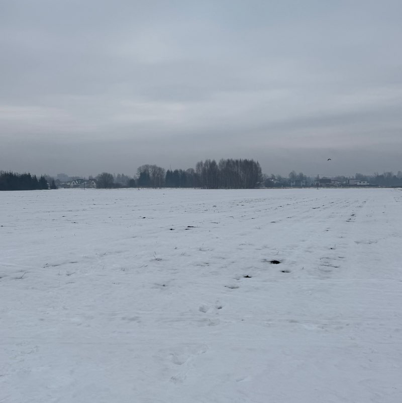 Mego Anastasija post image