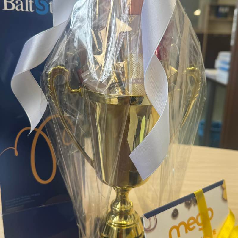 Mego Anastasija post image