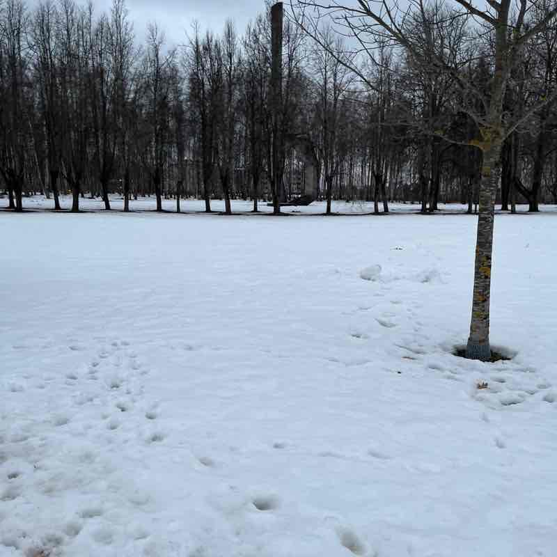 Mego Tatjana post image