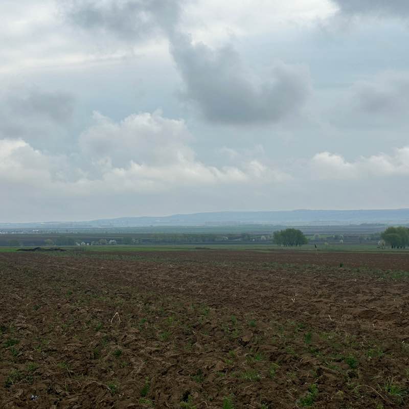 Ritmul sănătății Luiza Mihalache post image