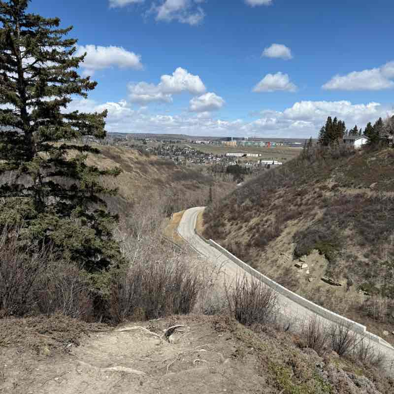 Jane Phillips post 1