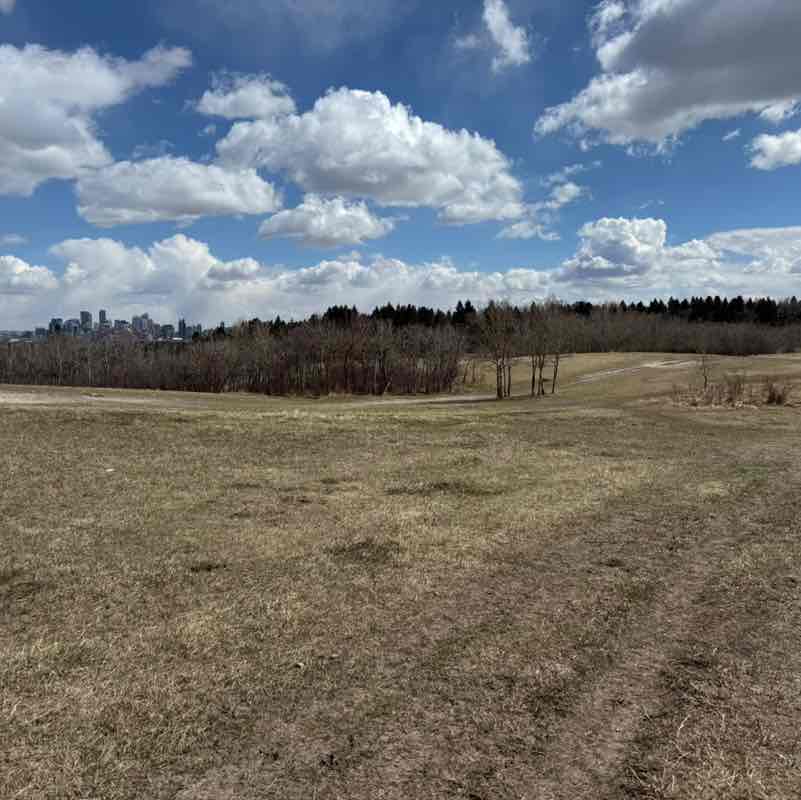 Jane Phillips post 2