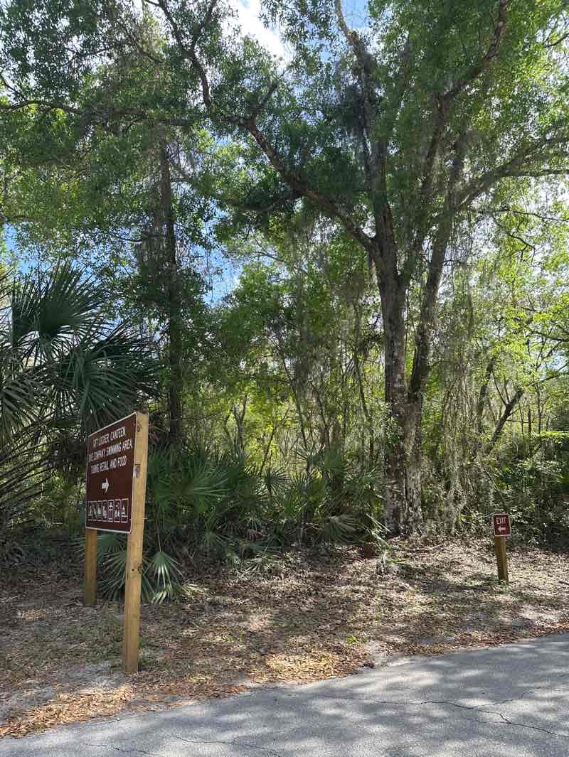 walking near me in Blue Spring State Park in spring
