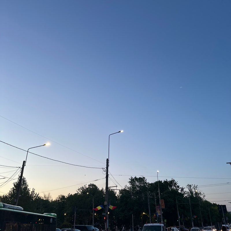 Ioana post 1