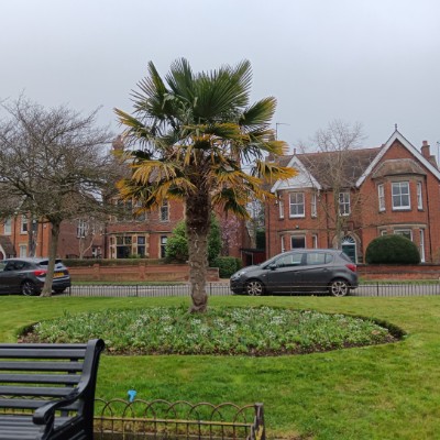 Pozytywni kierowcy HGV Imlovingcrypto - trucker post image