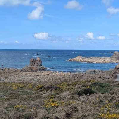 Amis Sparnaciens KriKriKoala22 post image