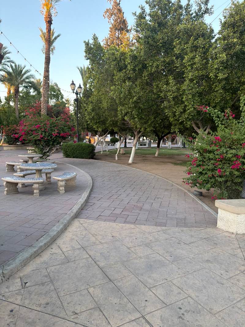 walking near me in Plaza Benito Juárez in spring