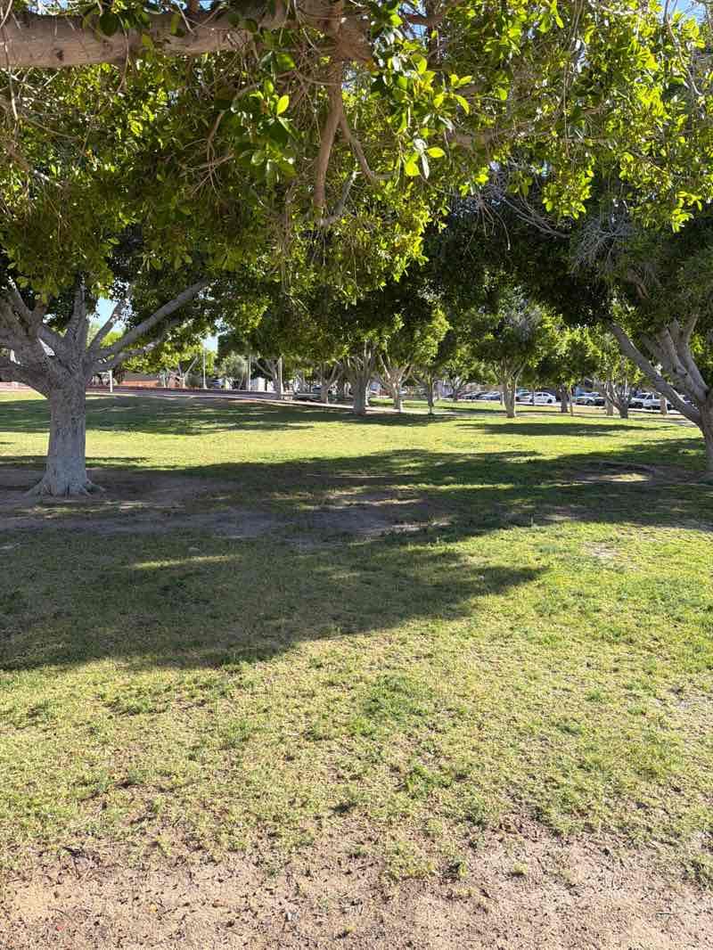 walking near me in Parque Yoreme in summer