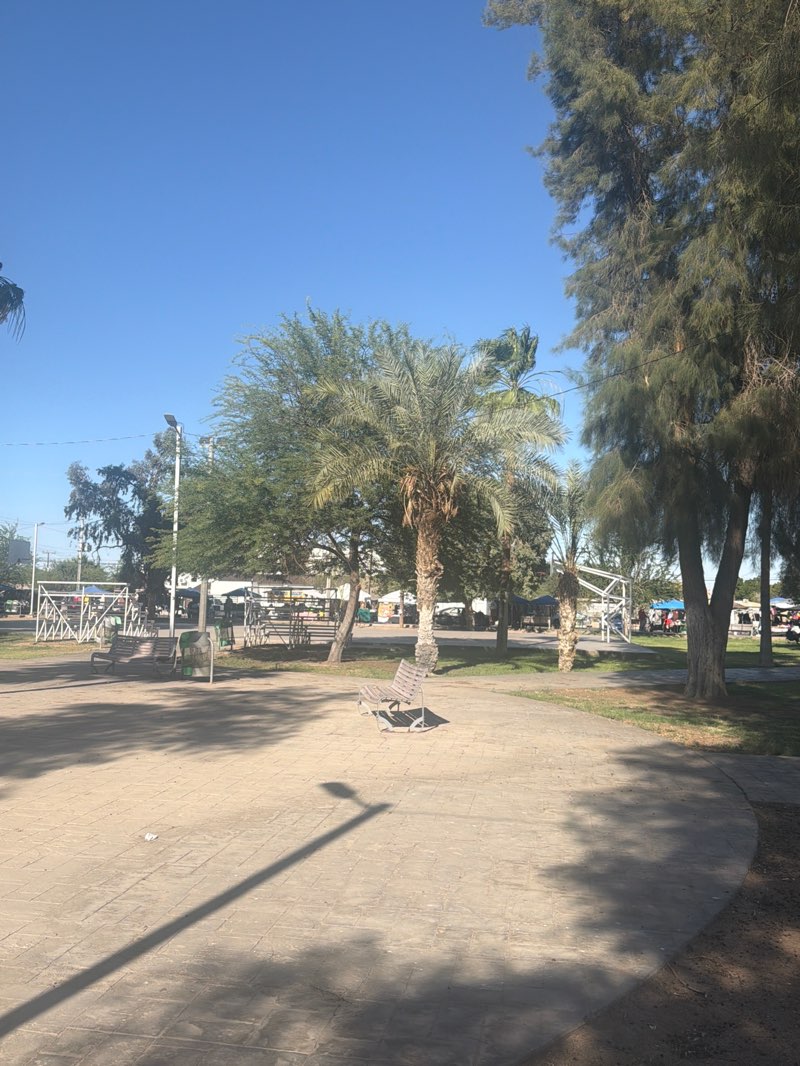 walking near me in Parque Emiliano Zapata in spring
