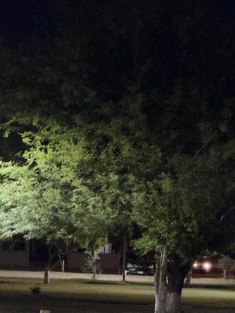 walking near me in Parque Solidaridad in summer