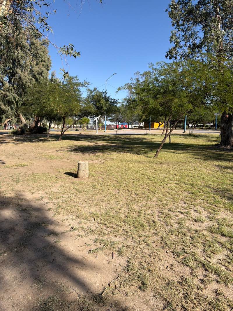 walking near me in Parque Revolución in summer