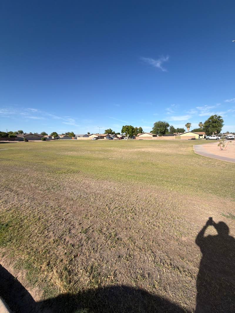 walking near me in Ponderosa Park in summer