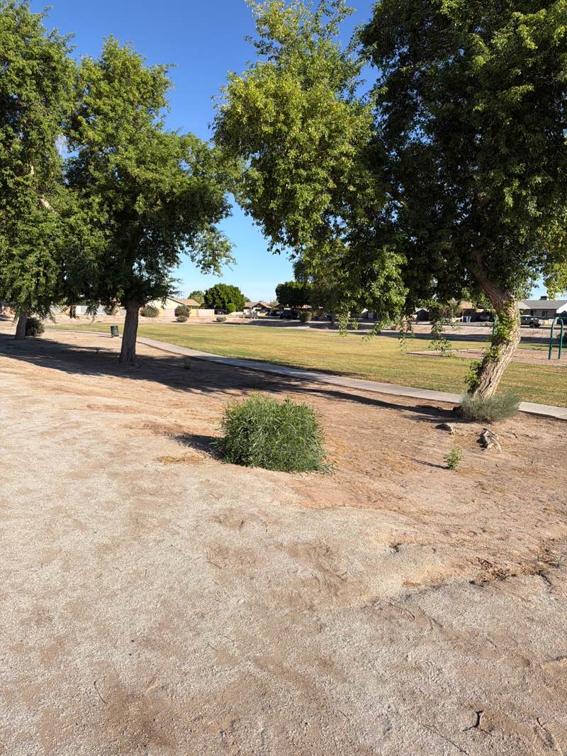 walking near me in Las Casitas Park in summer