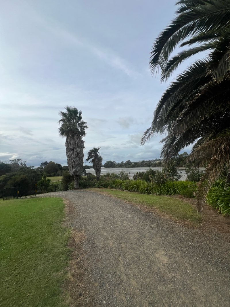 walking near me in Sandspit Road Esplanade Reserve in autumn