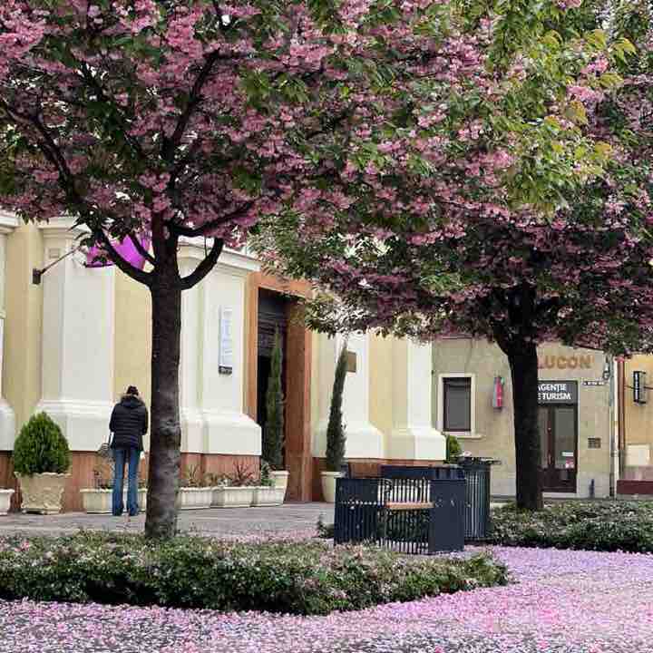 PAS CU SENS Adelina 📸 post image