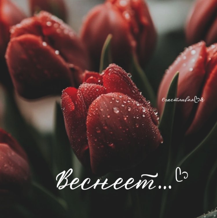 Иркутск_38. Топай и бегай!🤗 Дилара post image