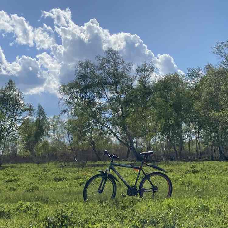 Легкий шаг 🤸🏼‍♂️ Дилара  🚴‍♂️ post image
